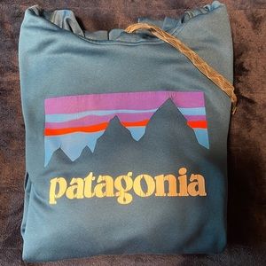 Mens Patagonia Sweatshirt